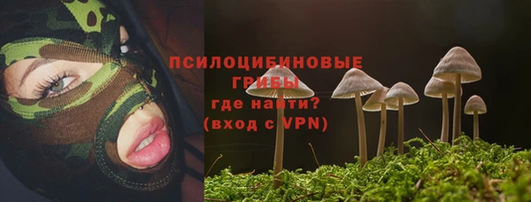 кристаллы Алзамай